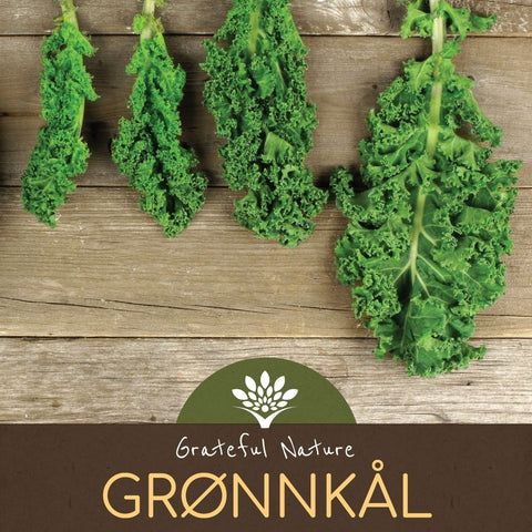 Tørket grønnkålpulver - 250g